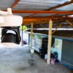 Diferențele între camerele analogice și cele digitale